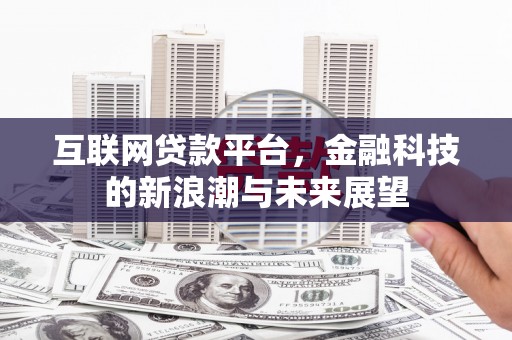 嘉禾互联网贷款平台，金融科技的新浪潮与未来展望