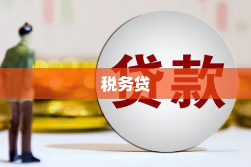 嘉禾税务贷