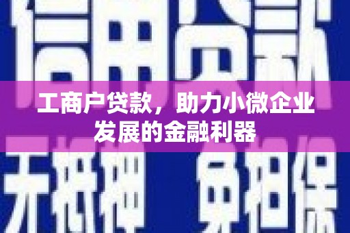 嘉禾工商户贷款，助力小微企业发展的金融利器
