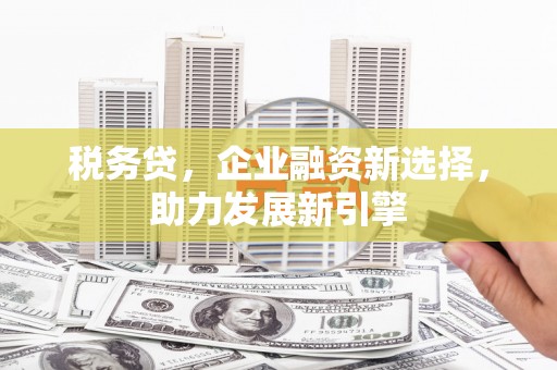 嘉禾税务贷，企业融资新选择，助力发展新引擎