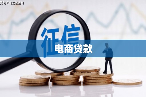 嘉禾电商贷款
