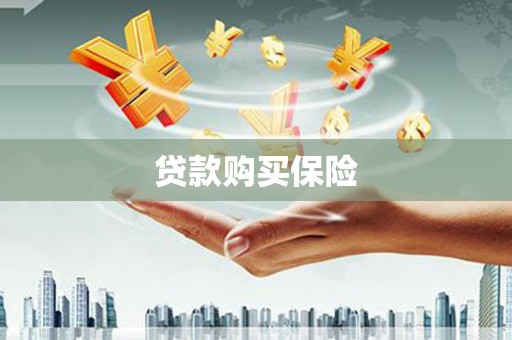 嘉禾贷款购买保险