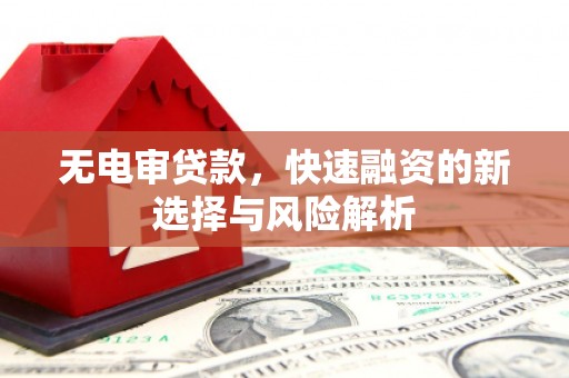 嘉禾无电审贷款，快速融资的新选择与风险解析