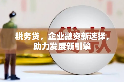 嘉禾税务贷，企业融资新选择，助力发展新引擎