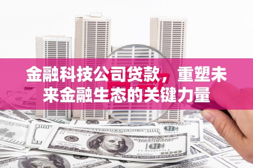 嘉禾金融科技公司贷款，重塑未来金融生态的关键力量