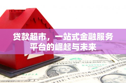嘉禾贷款超市，一站式金融服务平台的崛起与未来