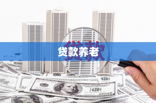 嘉禾贷款养老