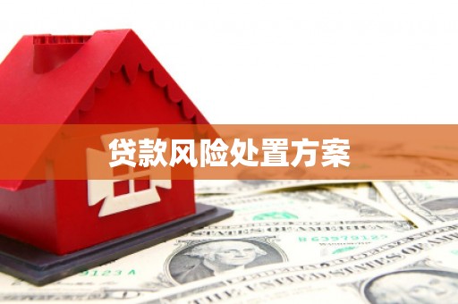 嘉禾贷款风险处置方案