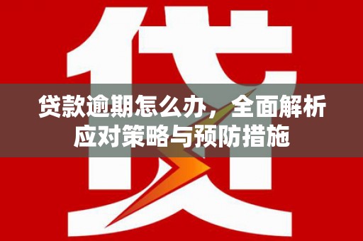 嘉禾贷款逾期怎么办，全面解析应对策略与预防措施