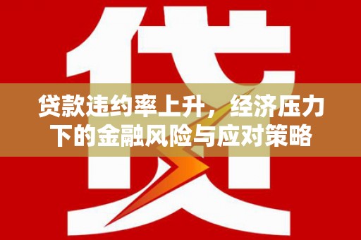 嘉禾贷款违约率上升，经济压力下的金融风险与应对策略