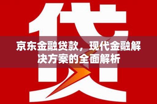嘉禾京东金融贷款，现代金融解决方案的全面解析
