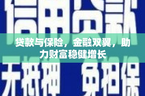 嘉禾贷款与保险，金融双翼，助力财富稳健增长