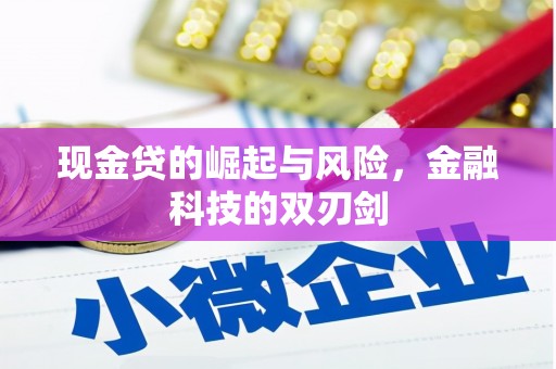 嘉禾现金贷的崛起与风险，金融科技的双刃剑