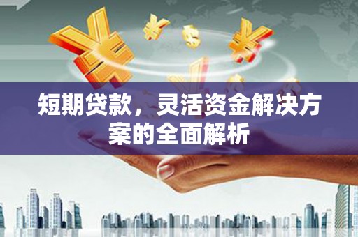 嘉禾短期贷款，灵活资金解决方案的全面解析