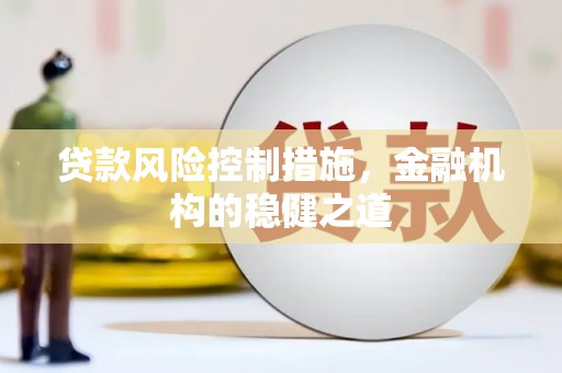 嘉禾贷款风险控制措施，金融机构的稳健之道