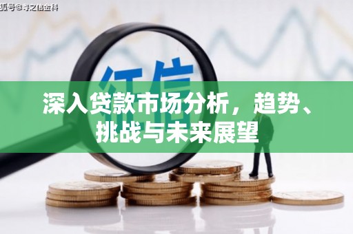 嘉禾深入贷款市场分析，趋势、挑战与未来展望