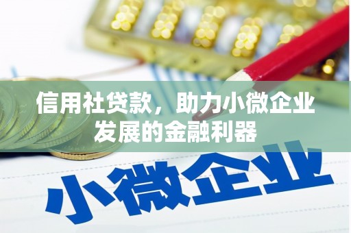 嘉禾信用社贷款，助力小微企业发展的金融利器