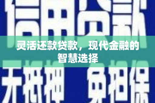嘉禾灵活还款贷款，现代金融的智慧选择