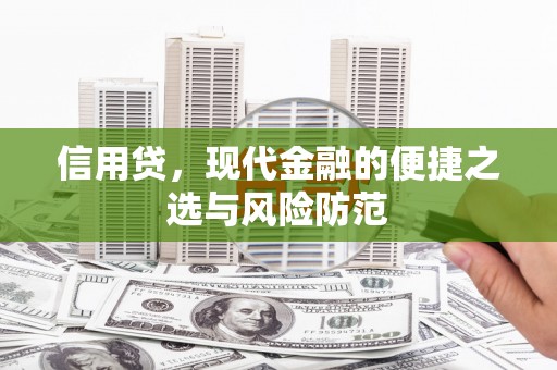 嘉禾信用贷，现代金融的便捷之选与风险防范