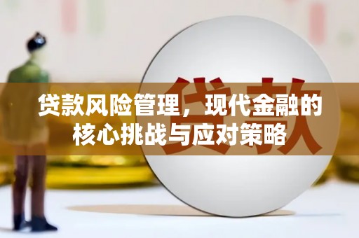 嘉禾贷款风险管理，现代金融的核心挑战与应对策略