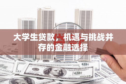 嘉禾大学生贷款，机遇与挑战并存的金融选择