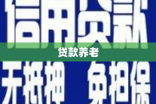嘉禾贷款养老