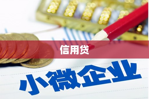嘉禾信用贷