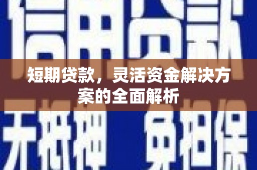 嘉禾短期贷款，灵活资金解决方案的全面解析