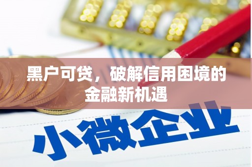嘉禾黑户可贷，破解信用困境的金融新机遇