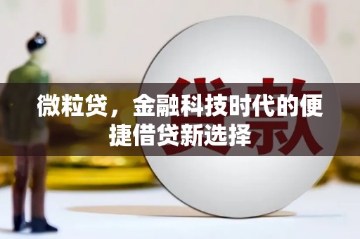 嘉禾微粒贷，金融科技时代的便捷借贷新选择