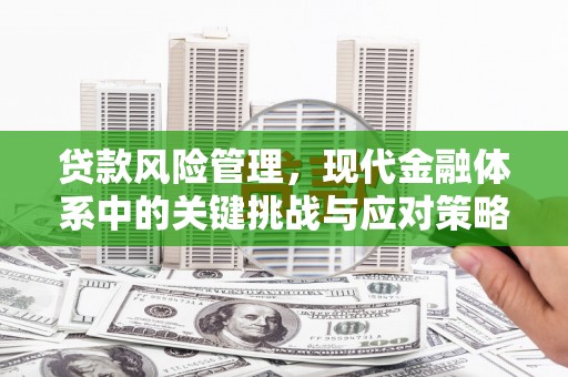 嘉禾贷款风险管理，现代金融体系中的关键挑战与应对策略