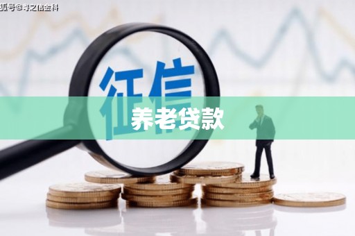 嘉禾养老贷款
