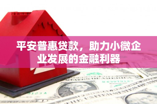 嘉禾平安普惠贷款，助力小微企业发展的金融利器
