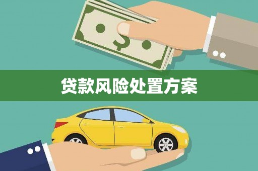嘉禾贷款风险处置方案
