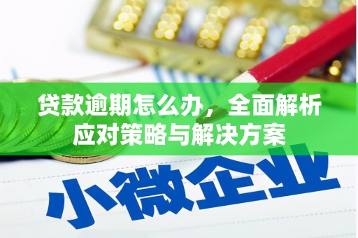 嘉禾贷款逾期怎么办，全面解析应对策略与解决方案