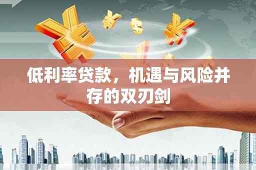 嘉禾低利率贷款，机遇与风险并存的双刃剑
