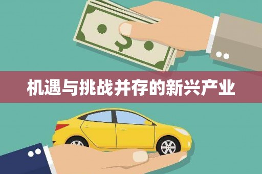 嘉禾机遇与挑战并存的新兴产业