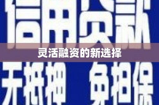 嘉禾灵活融资的新选择