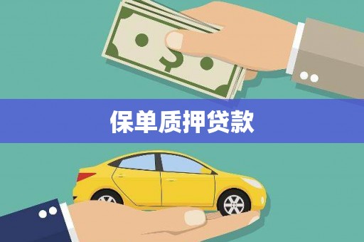 嘉禾保单质押贷款