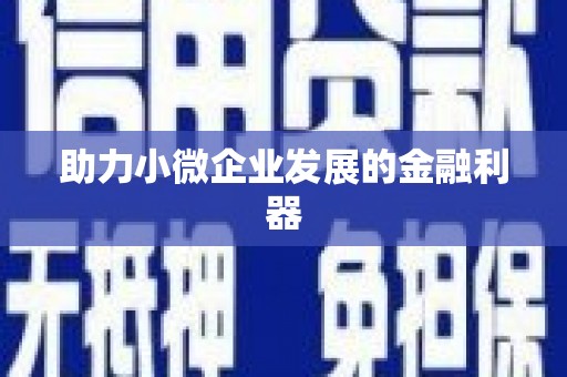 嘉禾助力小微企业发展的金融利器
