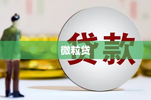 嘉禾微粒贷