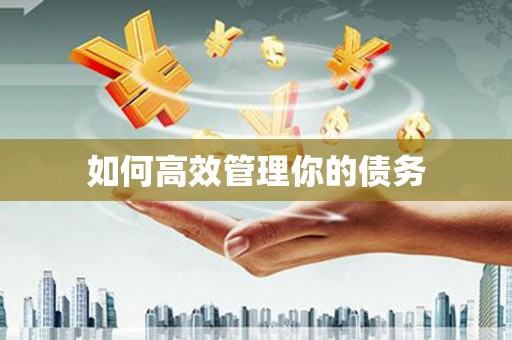 嘉禾如何高效管理你的债务