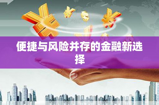 嘉禾便捷与风险并存的金融新选择