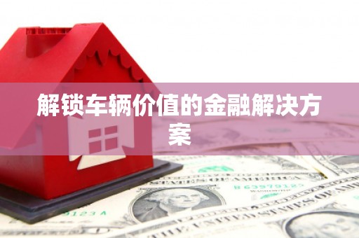 嘉禾解锁车辆价值的金融解决方案