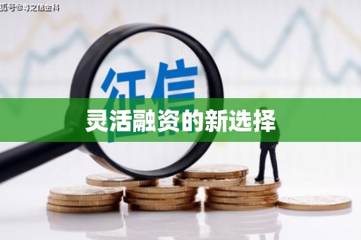 嘉禾灵活融资的新选择