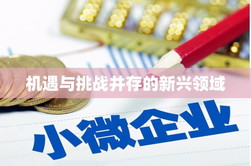 嘉禾机遇与挑战并存的新兴领域