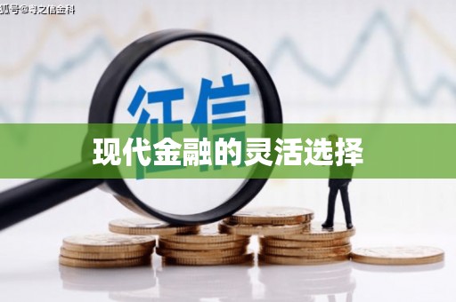 嘉禾现代金融的灵活选择