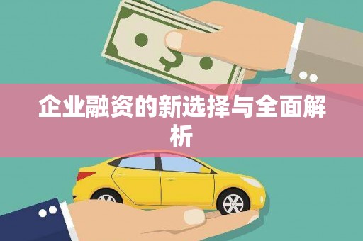 嘉禾企业融资的新选择与全面解析