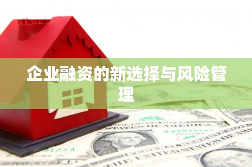 嘉禾企业融资的新选择与风险管理