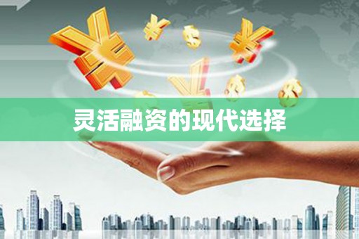 嘉禾灵活融资的现代选择